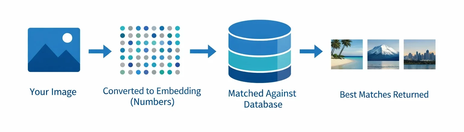 how image search techniques work — image converted to embedding then matched in database