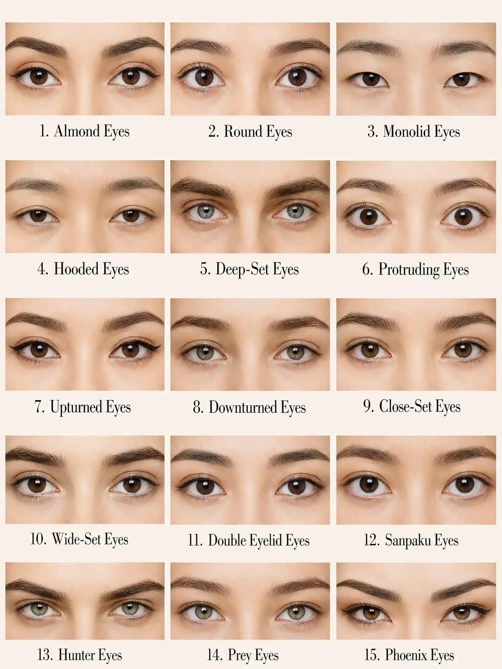 Infographic banner displaying fifteen different eye shape types with realistic eye illustrations arranged in an educational comparison layout.